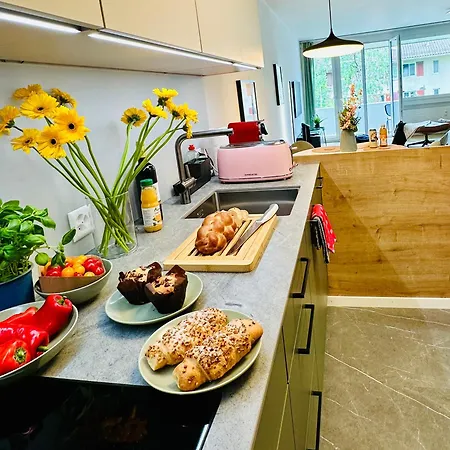 Διαμέρισμα Modern With Air Condition & Balcony Ζυρίχη