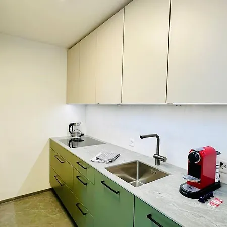 Modern With Air Condition & Balcony Zurigo